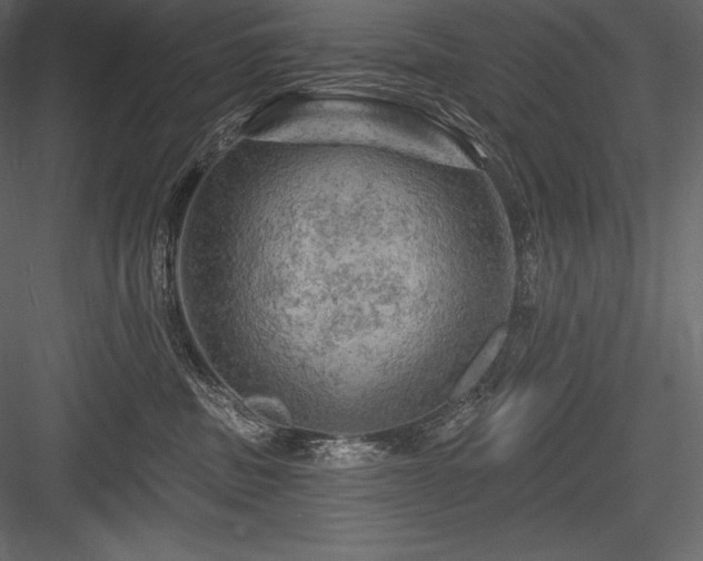 X0000084560379200702231238