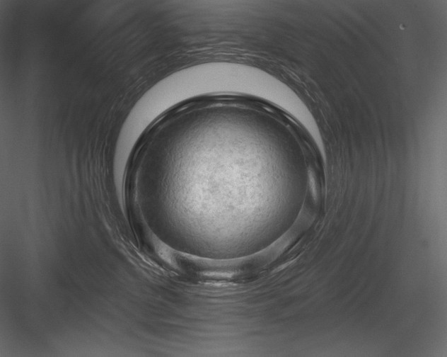 X0000084560380200702231238