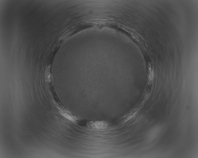 X0000084560383200702231239