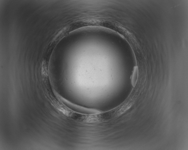 X0000084560384200702231239