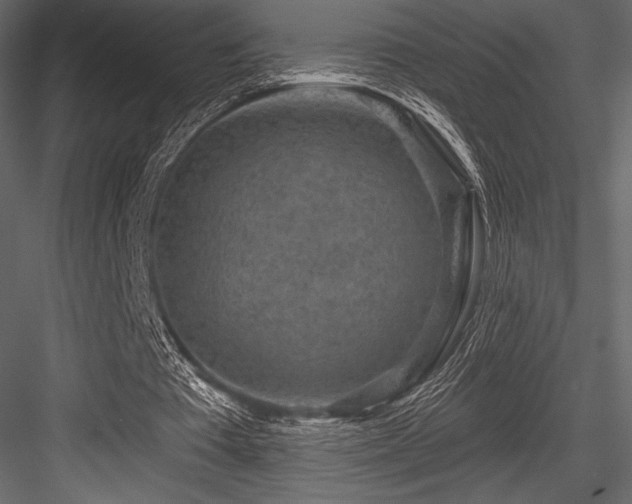 X0000084560385200702231238