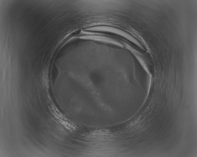 X0000084560386200702231238