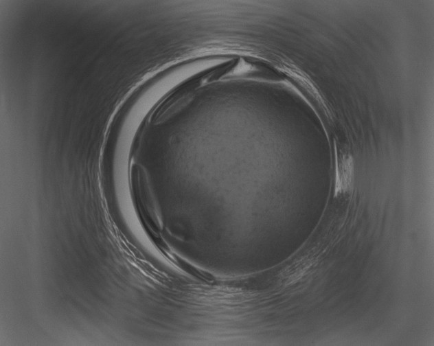 X0000084560387200702231238