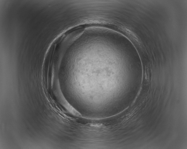 X0000084560388200702231238