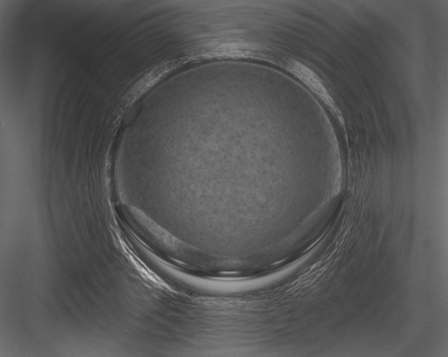 X0000084560389200702231238
