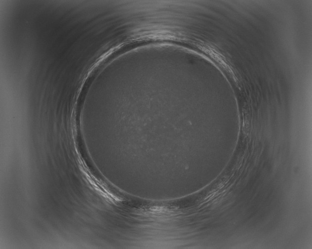 X0000084560390200702231238