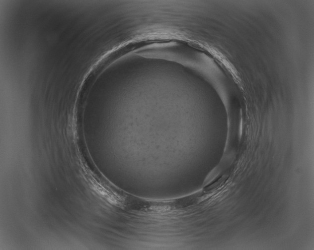 X0000084560391200702231238