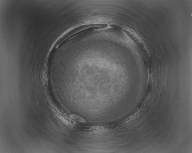 X0000084560392200702231238