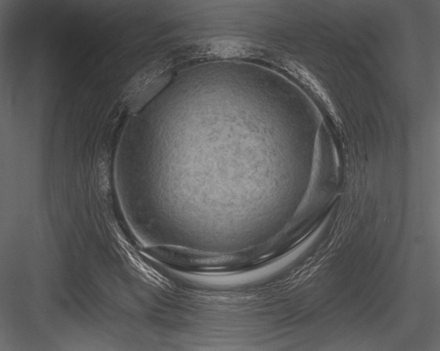 X0000084560393200702231238