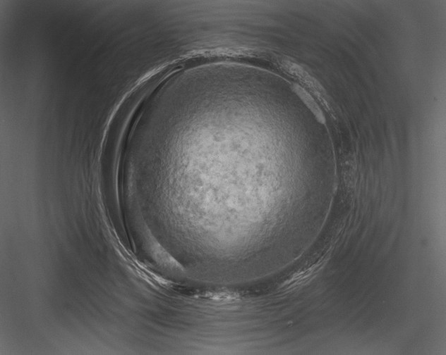 X0000084560395200702231238