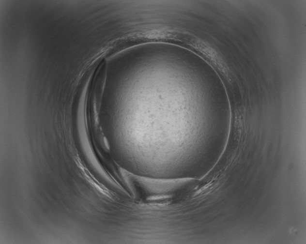 X0000084560397200702231237