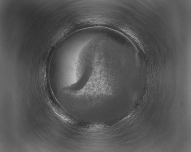 X0000084560398200702231237