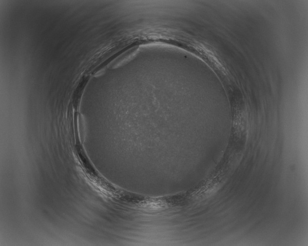 X0000084560402200702231237
