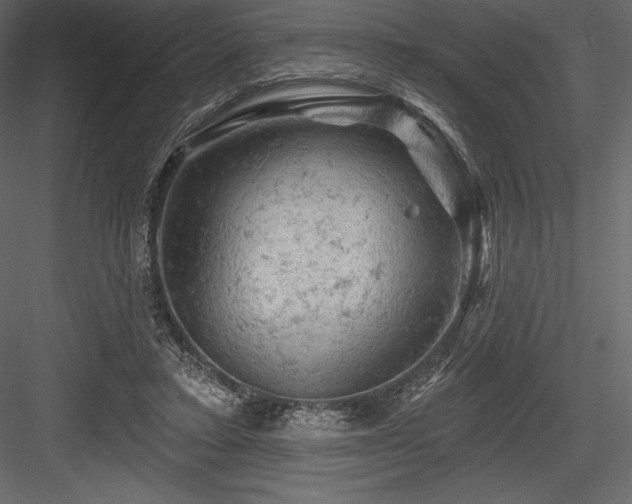 X0000084560403200702231237