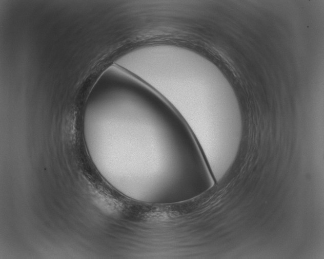 X0000084560404200702231237