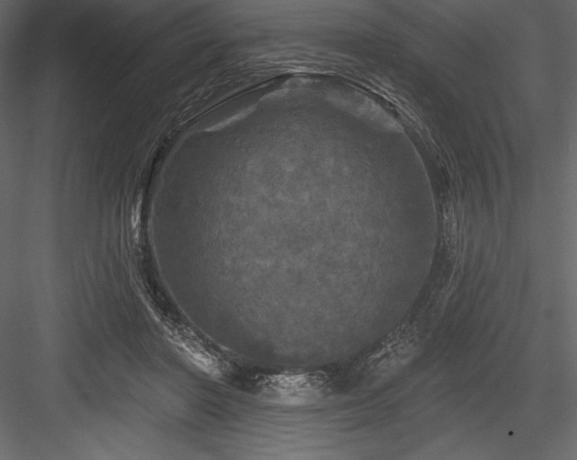 X0000084560406200702231237