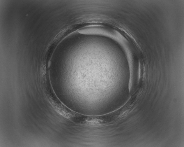 X0000084560407200702231237