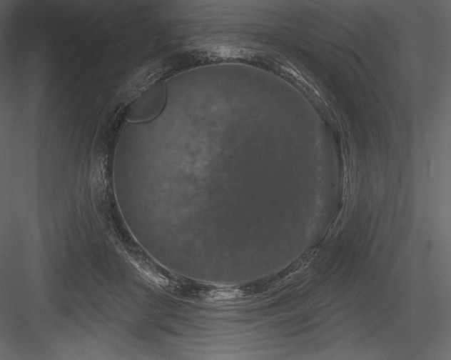 X0000084560410200702231237