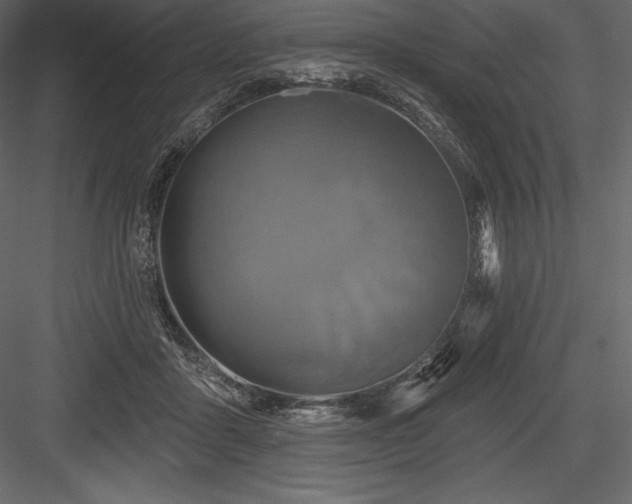 X0000084560411200702231237