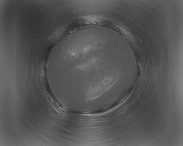 X0000084560413200702231237