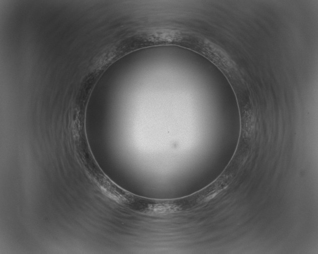 X0000084560414200702231237