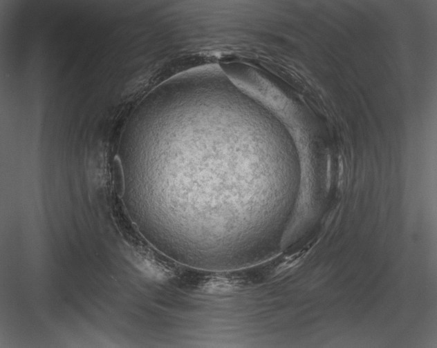 X0000084560416200702231237