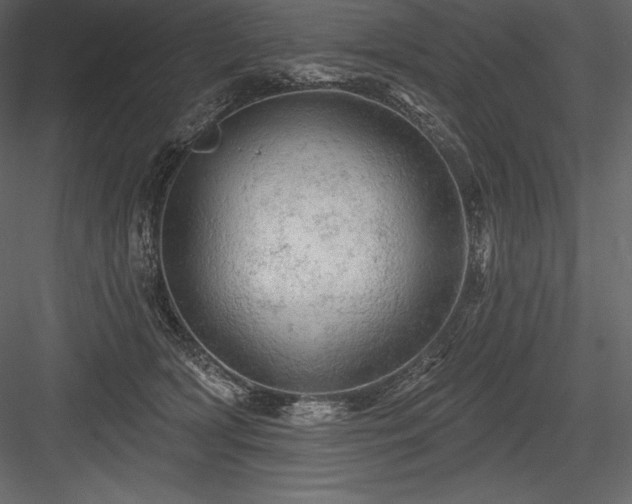 X0000084560418200702231237