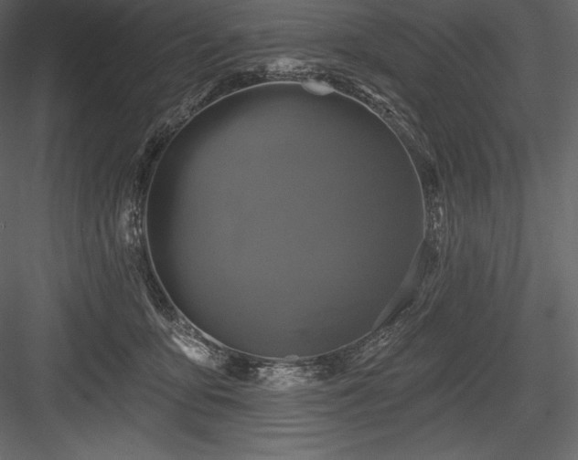 X0000084560419200702231237