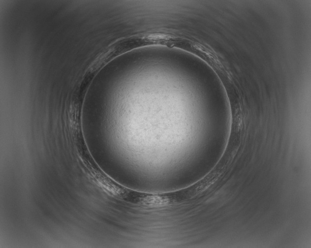 X0000084560421200702231237