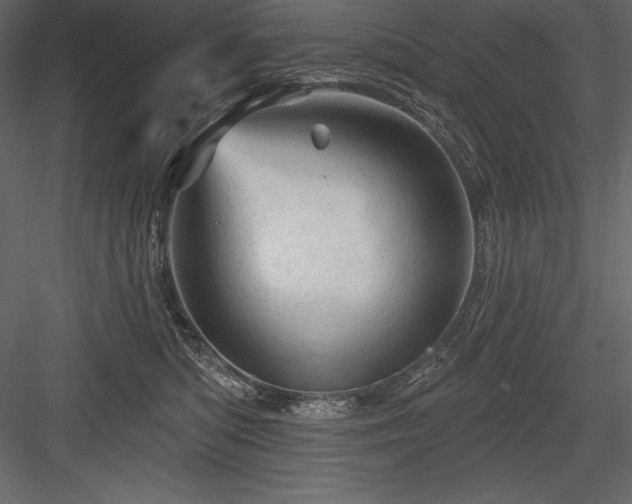 X0000084560422200702231237