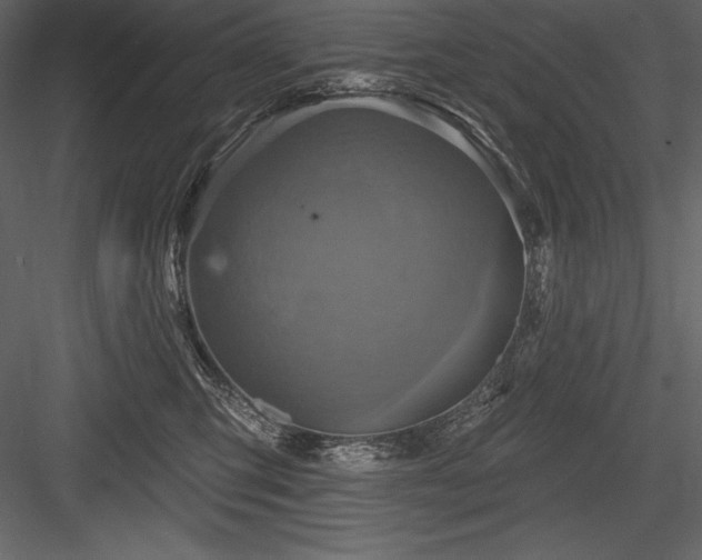 X0000084560423200702231237