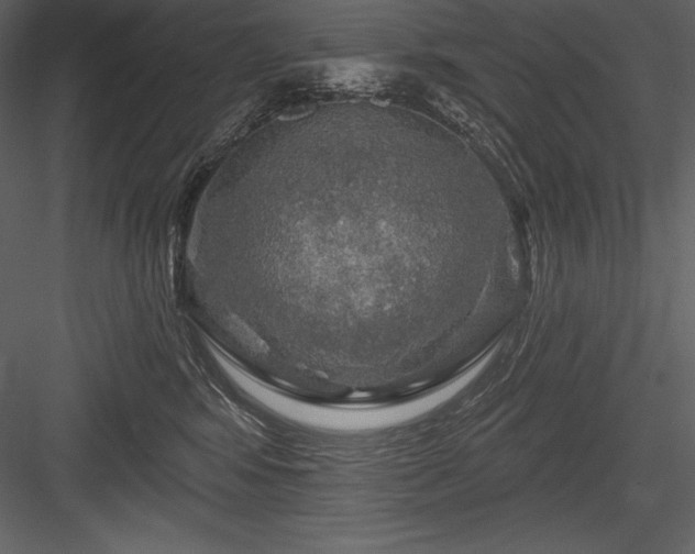 X0000084560424200702231237