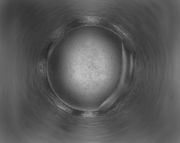 X0000084560425200702231237