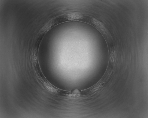 X0000084560426200702231237