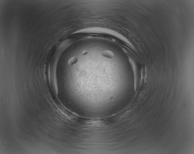 X0000084560428200702231237