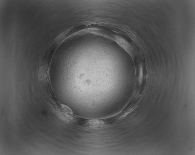 X0000084560429200702231237