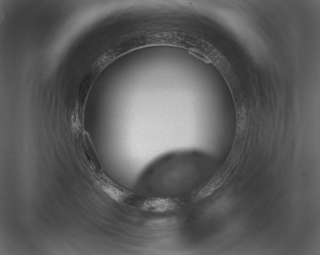 X0000084560431200702231237