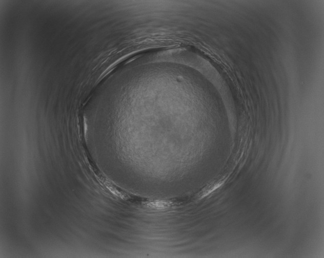 X0000084560432200702231237
