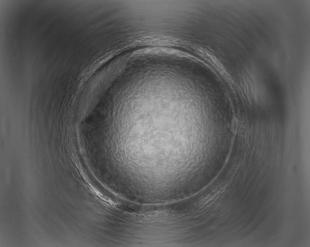 X0000084560433200702231236