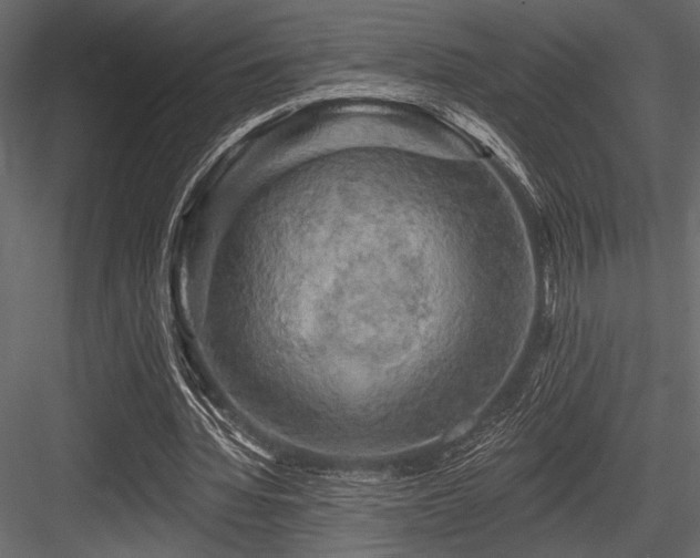 X0000084560436200702231236