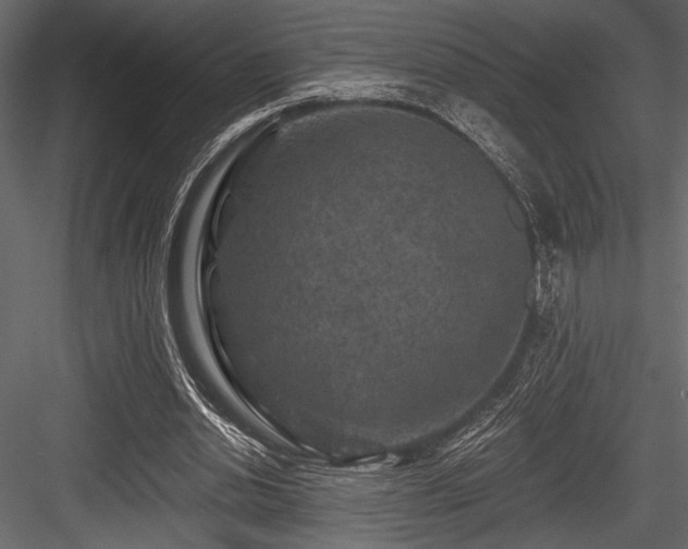 X0000084560438200702231236