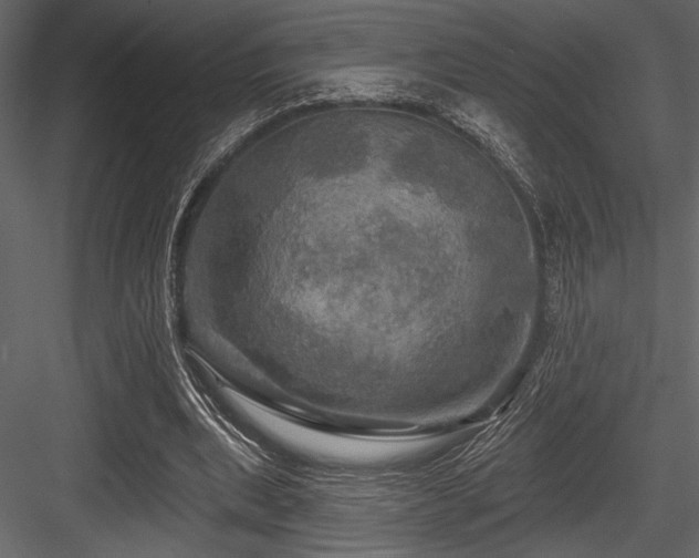 X0000084560439200702231236