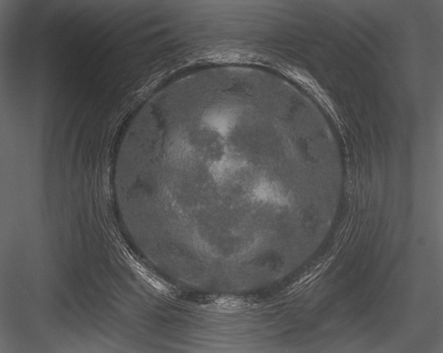 X0000084560441200702231236