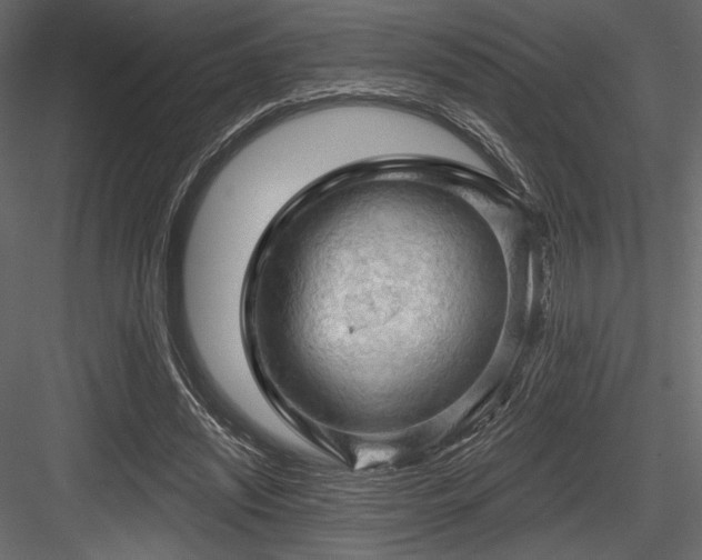 X0000084560444200702231236