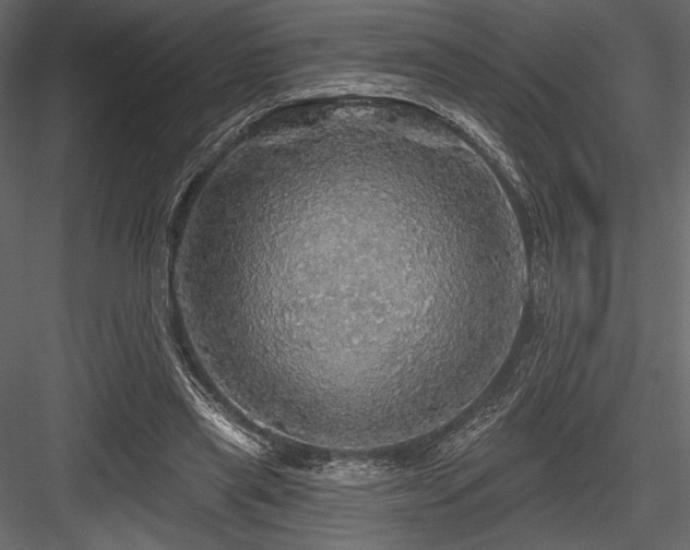X0000084560445200702231236