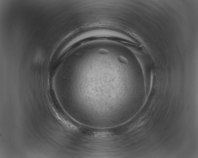 X0000084560446200702231236