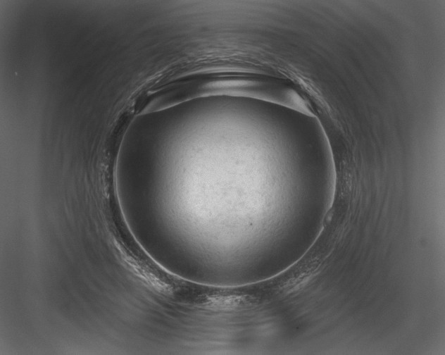 X0000084560450200702231236