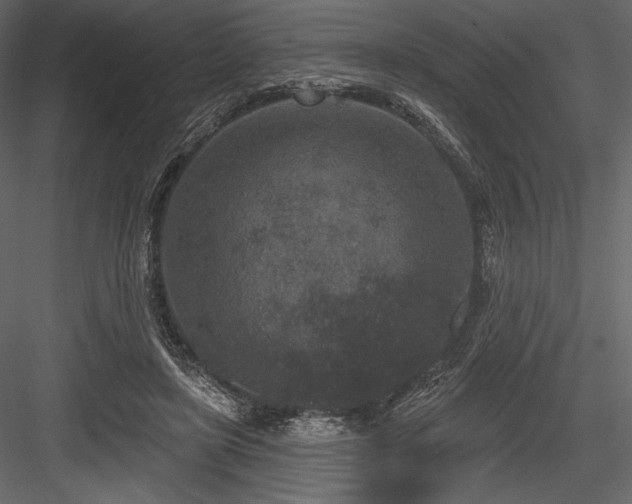 X0000084560451200702231236