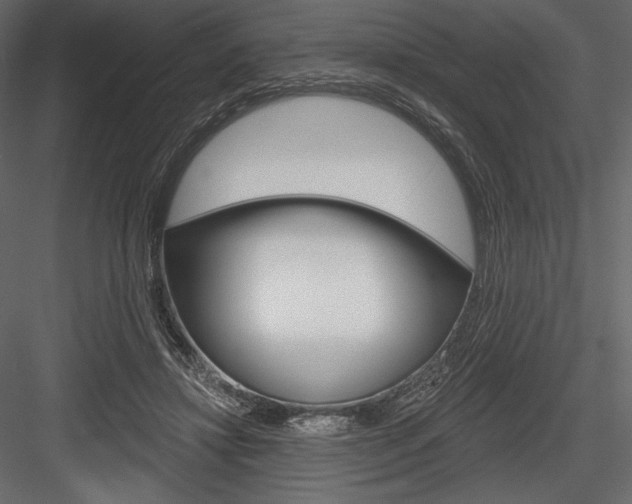 X0000084560452200702231236