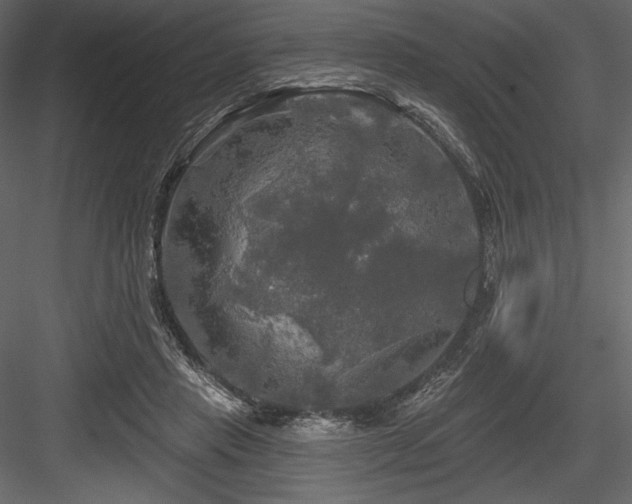 X0000084560453200702231236